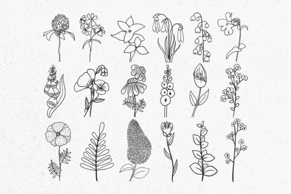 Download Wild Flower Bundle Svg, Floral Leaves - Premium Resources